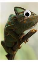 Googly Eye Chameleon Journal: 100-page blank lined journal featuring a chameleon with googly eyes