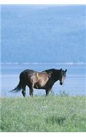 2020 Weekly Planner Horse Photo Equine Horse Lake Mountain Scene 134 Pages: 2020 Planners Calendars Organizers Datebooks Appointment Books Agendas