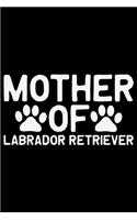 Mother Of Labrador Retriever