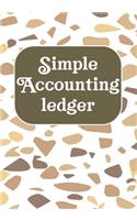 Simple Accounting Ledger