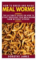 How to Breed and Raise Mealworms: The Ultimate Guide on How to Start Breeding Your Mealworm Farm Without Stress