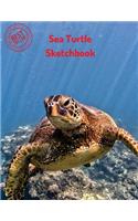 Sea Turtle Sketchbook: (Sketchbooks for Drawing)