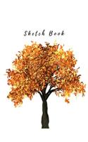 Sketch Book