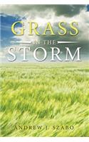 Grass in the Storm