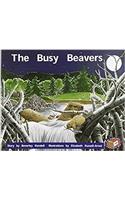 The Busy Beavers