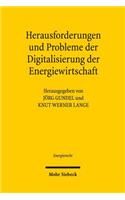 Herausforderungen und Probleme der Digitalisierung der Energiewirtschaft