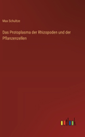 Protoplasma der Rhizopoden und der Pflanzenzellen