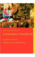 Schamanen-Praxisbuch