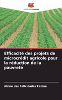 Efficacité des projets de microcrédit agricole pour la réduction de la pauvreté