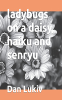 ladybugs on a daisy, haiku and senryu