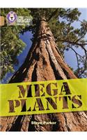 Mega Plants