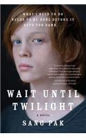 Wait Until Twilight
