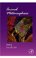 Animal Metamorphosis: Volume 103 (Current Topics in Developmental Biology)