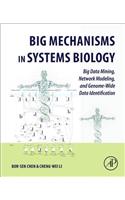 Big Mechanisms in Systems Biology