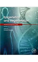 Epigenetics and Regeneration