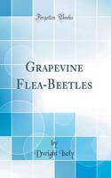 Grapevine Flea-Beetles (Classic Reprint)