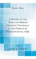 A Report on the Trees and Shrubs Growing Naturally in the Forests of Massachusetts, 1846 (Classic Reprint)