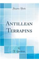 Antillean Terrapins (Classic Reprint)