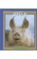 Pigs