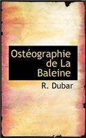 Ostacographie de la Baleine