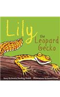 Lily the Leopard Gecko