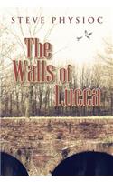 Walls of Lucca