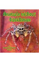 Animals Without Backbones