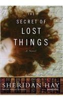 Secret of Lost Things