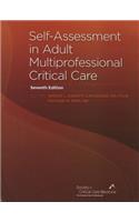 Self-Assessment in Adult Multiprofessional Critical Care