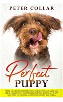 Perfect Puppy: Made Easy Revolution Training for Beginners. Basics and Great Guide for a Positive Behavior Dog. Raising an Happy Dog with Love and Health with Some