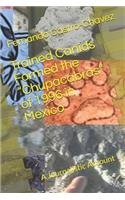 Trained Canids Formed the Chupacabras of 1996 in Mexico
