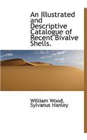 An Illustrated and Descriptive Catalogue of Recent Bivalve Shells.