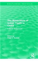 Rustication of Urban Youth in China