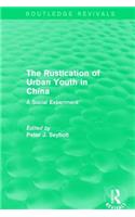 The Rustication of Urban Youth in China