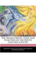 The Human Brain: Form and Function of the Body's Control Center