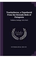 Trachytherus, a Typotherid From the Deseado Beds of Patagonia