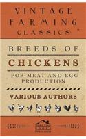 Breeds of Chickens for Meat and Egg Production