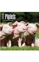 Piglets 2018 Calendar