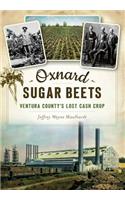 Oxnard Sugar Beets