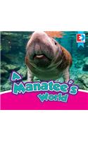 Manatee's World