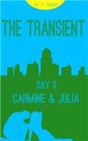 The Transient