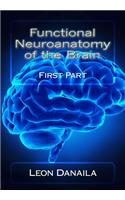 Functional Neuroanatomy of the Brain