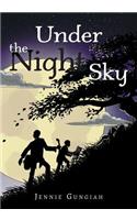 Under the Night Sky