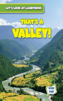 That's a Valley!: (Let's Look at Landforms)