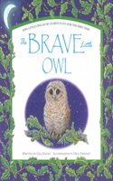 Brave Little Owl