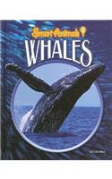 Whales