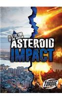Asteroid Impact