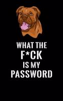 What The F*CK Is My Password, Boxer