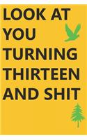 Look at You Turning Thirteen and Shit Notebook Birthday Gift