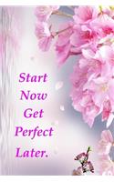 Start Now Get Perfect Later.